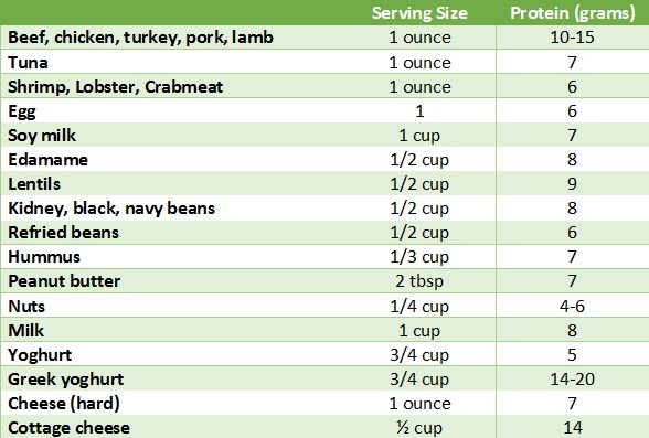 list of protein in foods