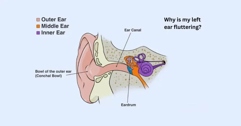 why is my left ear fluttering
